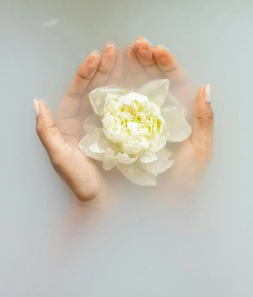 formation médecine traditionnelle chinoise