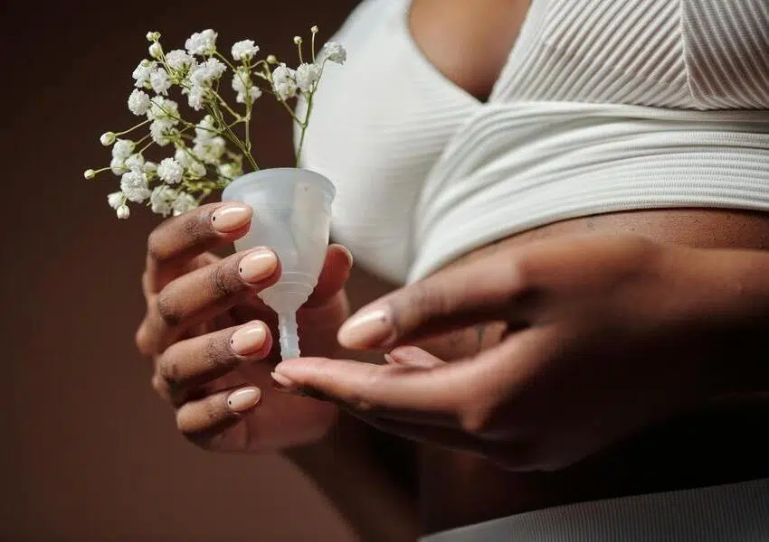 formation médecine traditionnelle chinoise