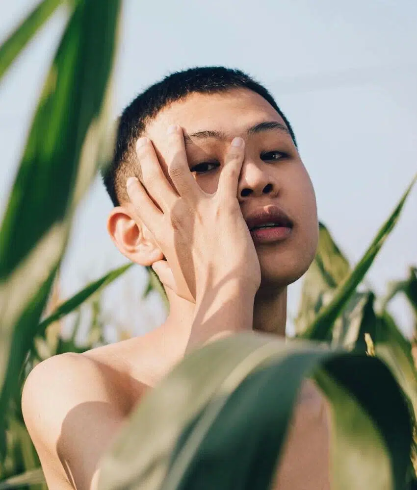 formation médecine traditionnelle chinoise