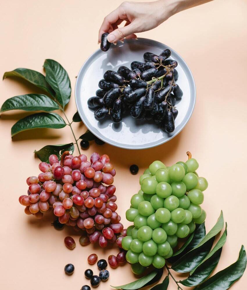 formation médecine traditionnelle chinoise