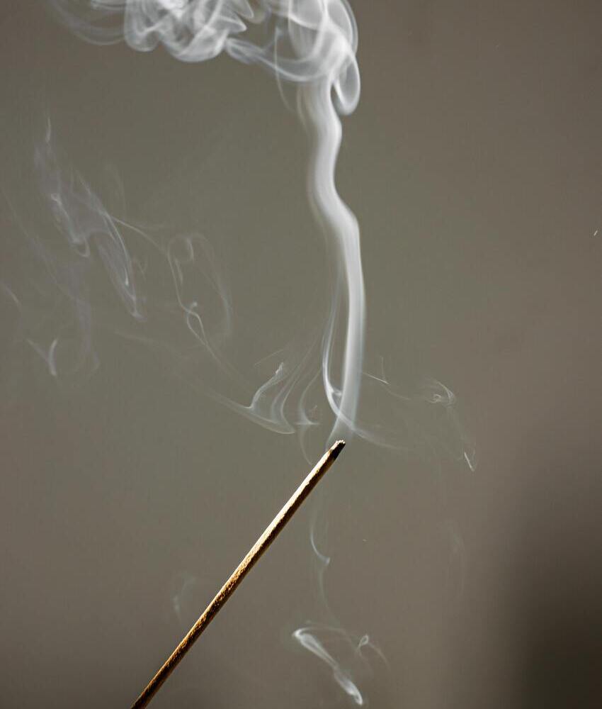 formation médecine traditionnelle chinoise