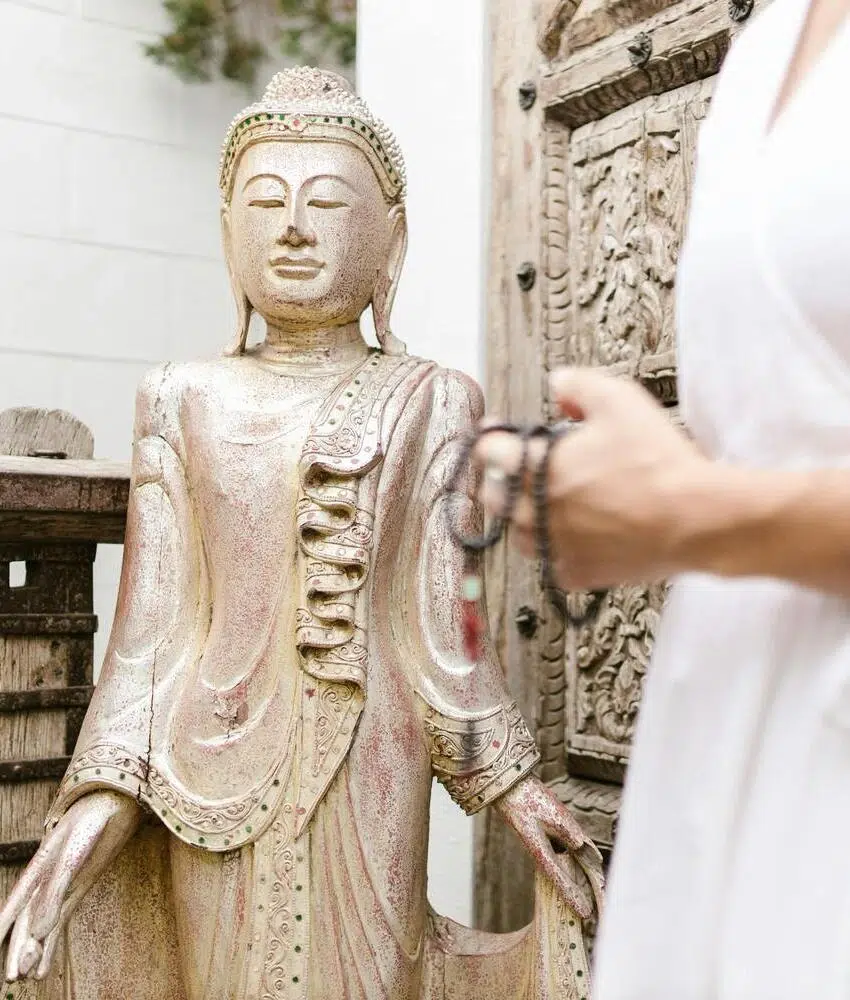 formation médecine traditionnelle chinoise