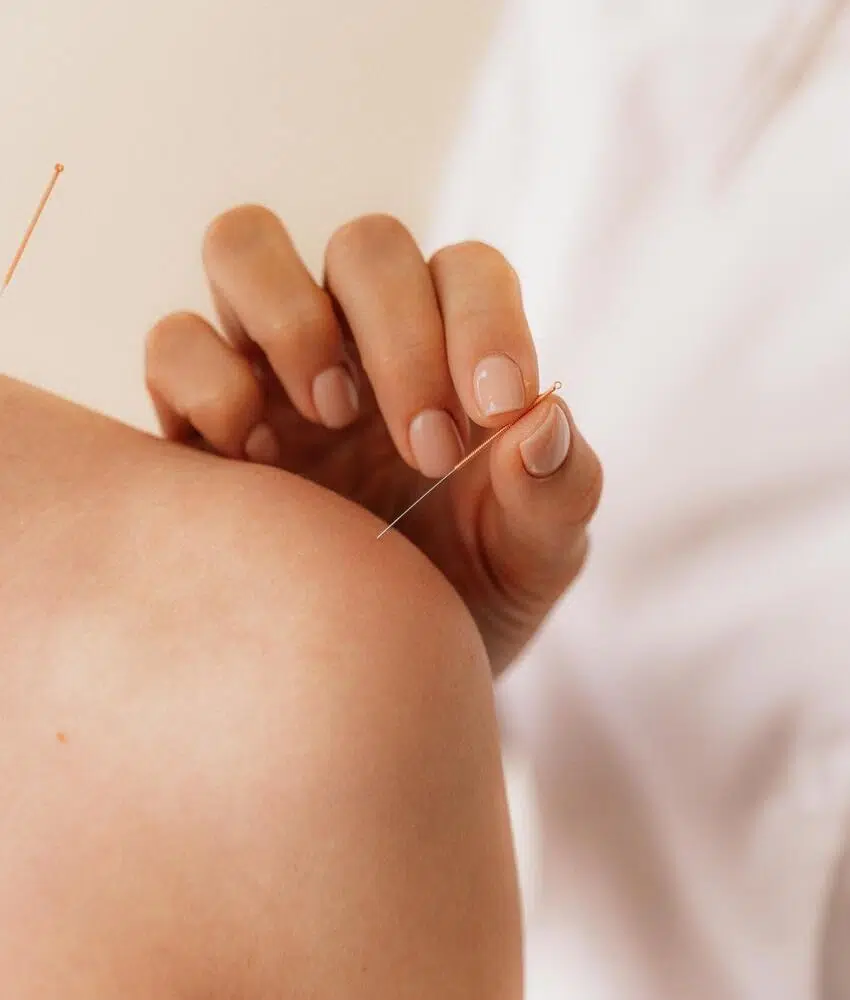 formation médecine traditionnelle chinoise