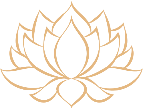 formation médecine traditionnelle chinoise